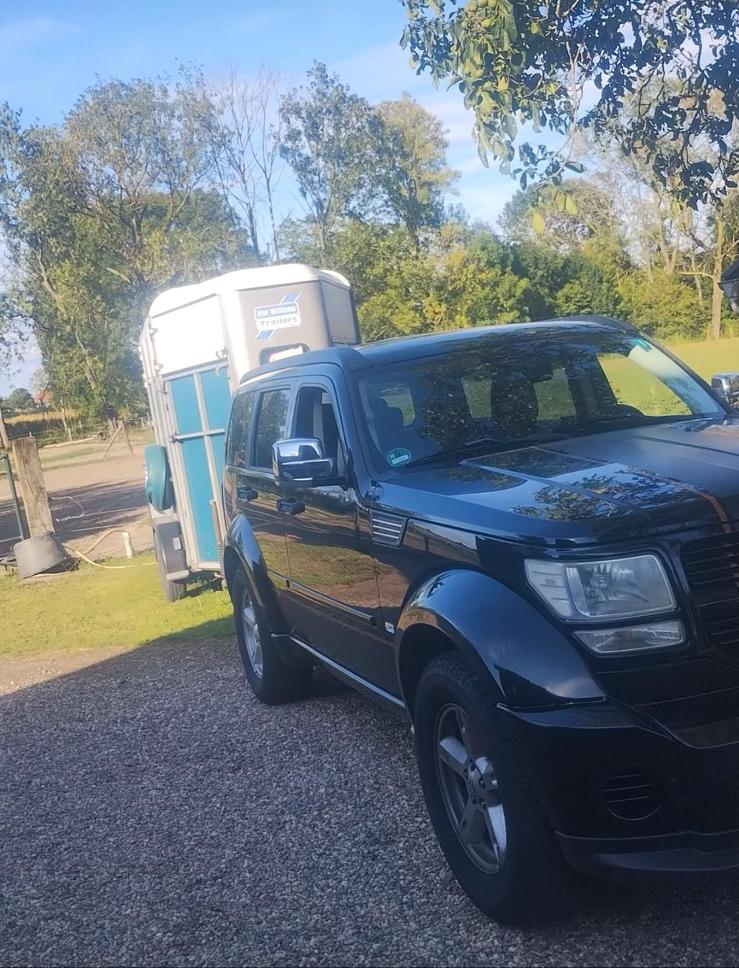 Ifor Williams trailer, Ophalen, Zo goed als nieuw, Aluminium, 2-paards trailer