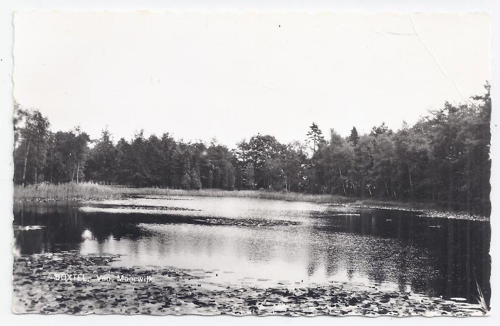 Boxtel Van Moorwijk Oude Ongelopen Ansichtkaart ( B1334 ), Ophalen of Verzenden, 1980 tot heden, Gelopen