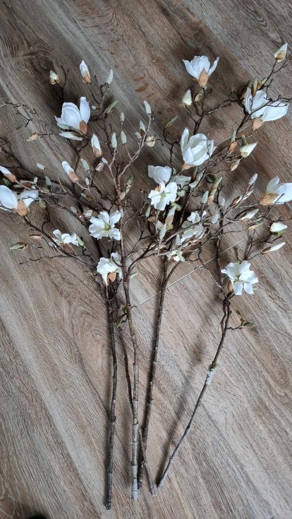 Kunst magnolia takken €7,50 per tak, Ophalen