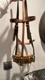 Captoon maat full, Ophalen of Verzenden, Overige soorten