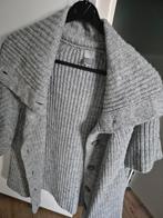 Vest !, Ophalen of Verzenden, Zo goed als nieuw, Grijs
