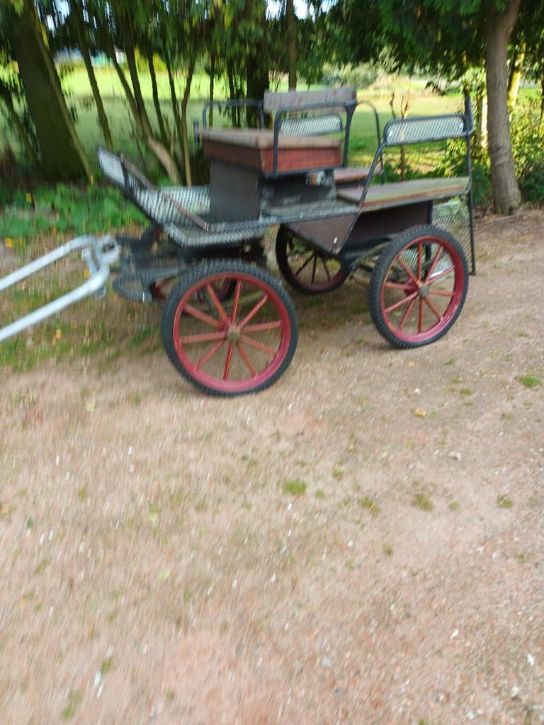 Te koop, Dieren en Toebehoren, Rijtuigen en Koetsen, Pony