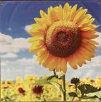 Buitenposter Zonnebloem – PVC-doek (80 x 80 cm), Tuin en Terras, Ophalen of Verzenden, Nieuw
