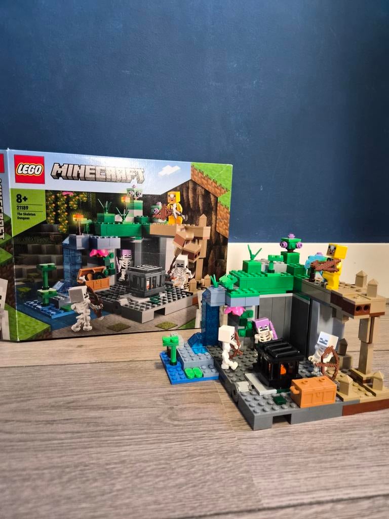 Lego Minecraft 21189 The Skeleton Dungeon met boekje, Minecraft, Lego, Compleet, Ophalen of Verzenden