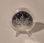 1 oz Zilveren Maple Leaf 2013, Ophalen of Verzenden, Zilver