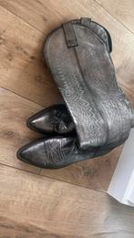 Stijlvolle Dames Cowboylaarzen - Zilverkleurig, Kleding | Dames, Schoenen, Ophalen of Verzenden, Gedragen, Overige kleuren, Hoge laarzen