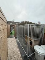 Honden kennel, Ophalen of Verzenden, Zo goed als nieuw, 110 cm of meer, 100 cm of meer