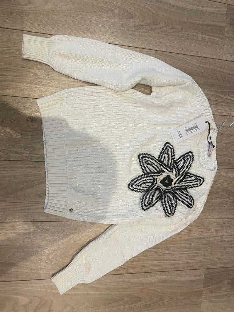 Studio Anneloes trui wit met bloem, Kleding | Dames, Truien en Vesten, Ophalen of Verzenden, Nieuw, Maat 34 (XS) of kleiner, Wit
