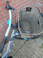 Zeer mooie Alpina girl power 26 inch fiets, Ophalen, Zo goed als nieuw, 26 inch of meer