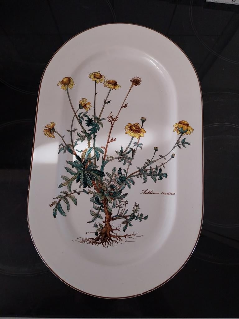 Botanica ovale schaal, Antiek en Kunst, Ophalen of Verzenden