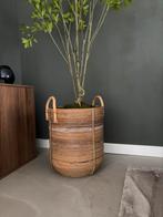 MAND, Ophalen, Zo goed als nieuw, Rond, Riet