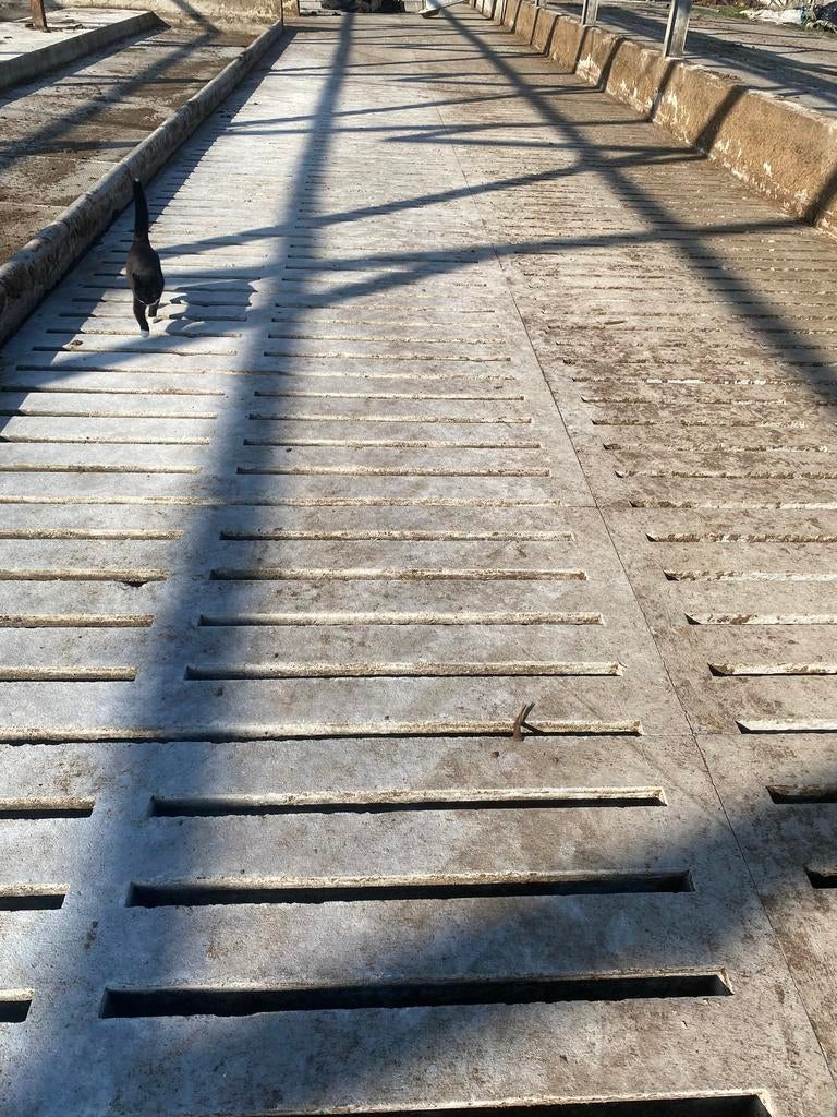 Rooster vloer koeienstal 60 stuks 200x86,5, Dieren en Toebehoren