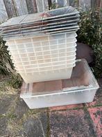 Labbakken T3 en T4, Dieren en Toebehoren, Gebruikt, Overige typen, Minder dan 75 cm, Muis