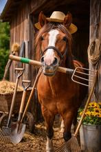 Tuinman / stalhulp bied zich aan