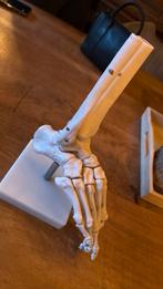 Voetskelet, Ophalen of Verzenden, Zo goed als nieuw
