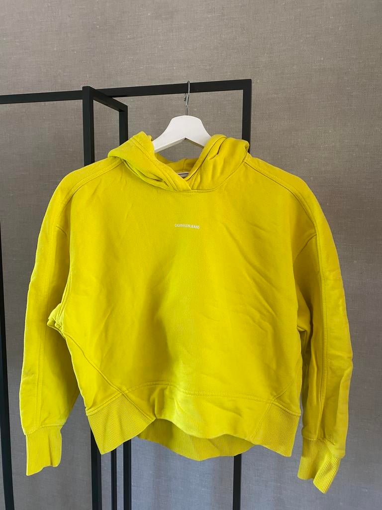 Calvin Klein hoodie, Kinderen en Baby's, Kinderkleding | Maat 164, Ophalen of Verzenden, Zo goed als nieuw, Meisje, Trui of Vest