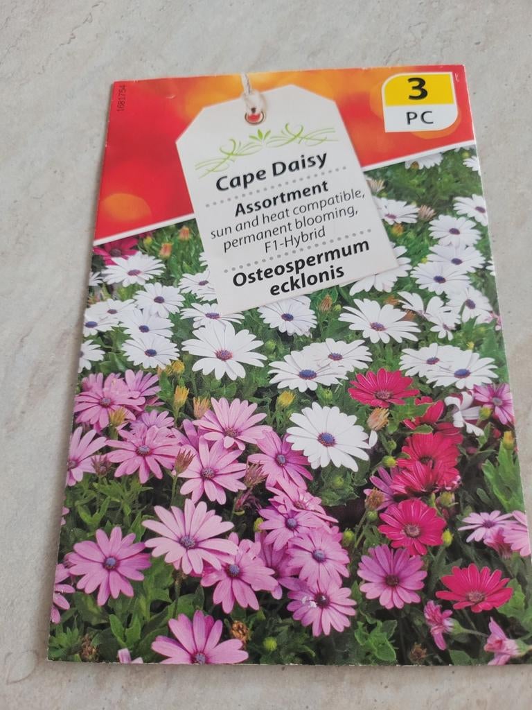 Bloemen zaden, Ophalen, Volle zon