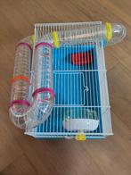 Ferplast Hansterkooi, Dieren en Toebehoren, Kooi, Minder dan 75 cm, Ophalen, Minder dan 60 cm