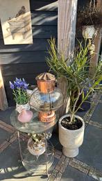 olielamp werkt perfect🌸🌸🌸🌸, Ophalen of Verzenden