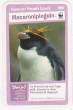 Super dieren no.2 Macaronipinguin [2643]  [VeOvSu], Albert Heijn, Ophalen of Verzenden