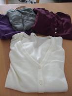 Te koop nieuwe vesten., Hema, Ophalen of Verzenden, Nieuw, Maat 36 (S)