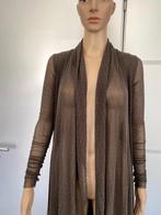 i119 Lang vest maat S=36 grijs (Mais il ou le solei), Kleding | Dames, Ophalen of Verzenden, Zo goed als nieuw, Mais il est ou le soleil