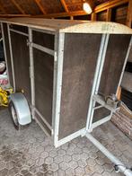 Veewagen veekar, Mannelijk