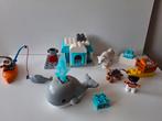 Duplo 10803. Poolgebied. Around the world., Ophalen of Verzenden, Gebruikt, Duplo