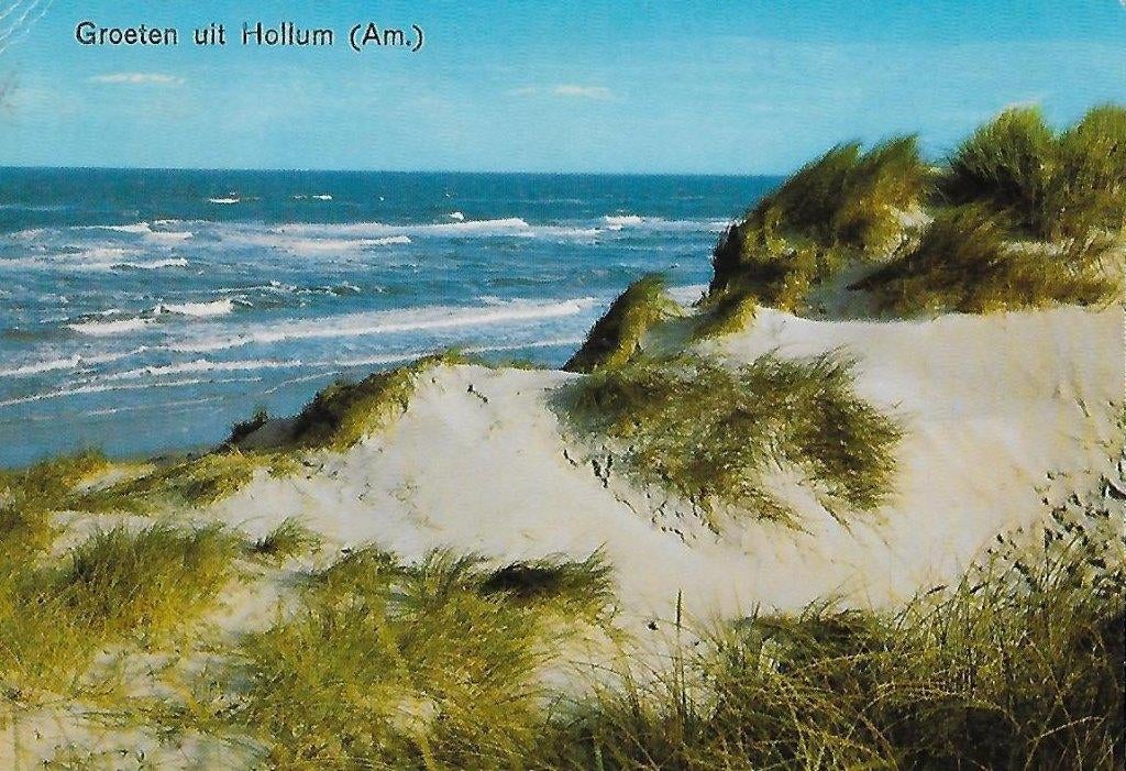 Ame221 gelopen ansichtkaart groeten uit hollum, Ophalen of Verzenden, 1980 tot heden, Gelopen