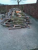 Haardhout, Tuin en Terras, Haardhout, 3 tot 6 m³, Ophalen, Overige houtsoorten, Stammen