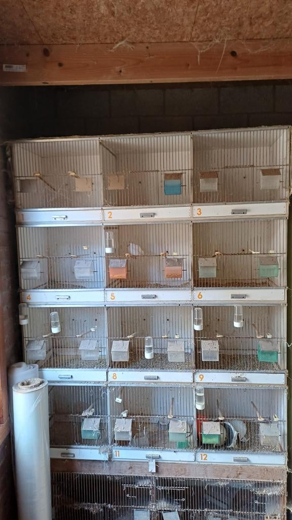 tekoop broedkooien, Dieren en Toebehoren, Vogels | Hokken en Kooien, Ophalen, Broedkooi of Kweekkooi