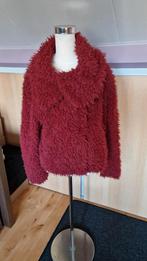 Primark rode teddy jas maat M, Maat 38/40 (M), Primark, Ophalen of Verzenden, Zo goed als nieuw