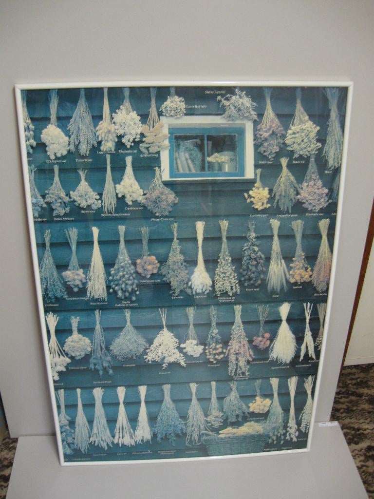 Oude poster van droogboeketten in groot wit posterframe, Verzamelen, Posters, Ophalen, Met lijst, A1 t/m A3, Dier of Natuur