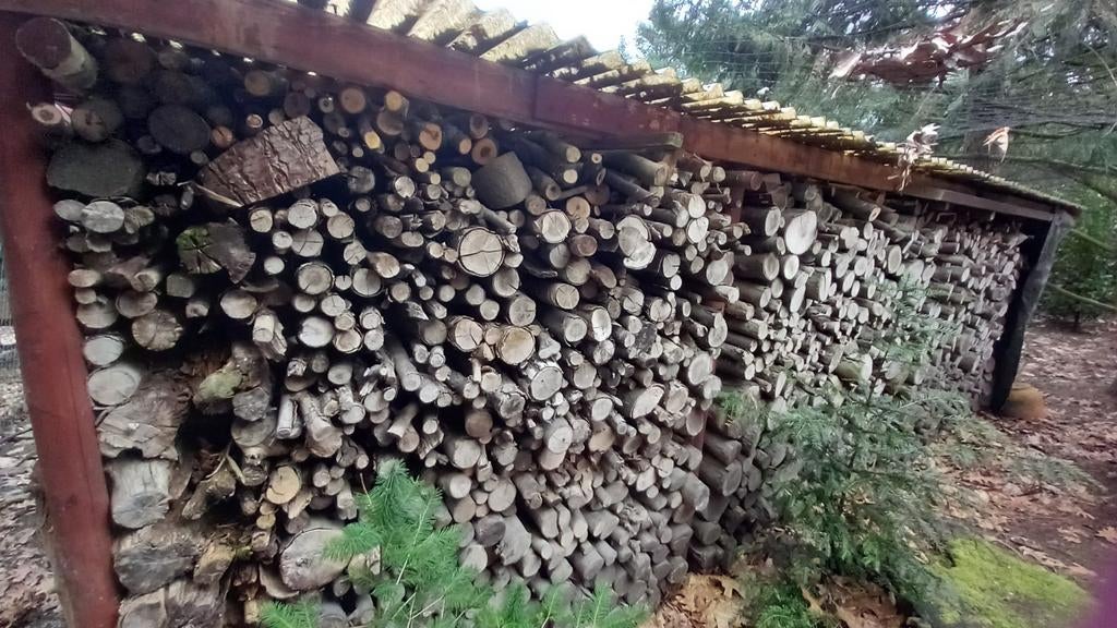 Droog haardhout, eik - 10m³ in totaal - DRINGEND, Tuin en Terras, Haardhout, Minder dan 3 m³, Ophalen of Verzenden