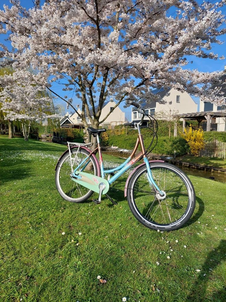 Batavus Blockbuster damesfiets 28 inch, Fietsen en Brommers, 53 tot 56 cm, Versnellingen, Batavus, Ophalen of Verzenden