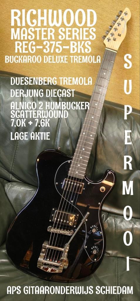 NIEUWSTAAT RICHWOOD MASTER SERIES REG-375-BKS, Ophalen of Verzenden, Nieuw, Solid body, Overige merken