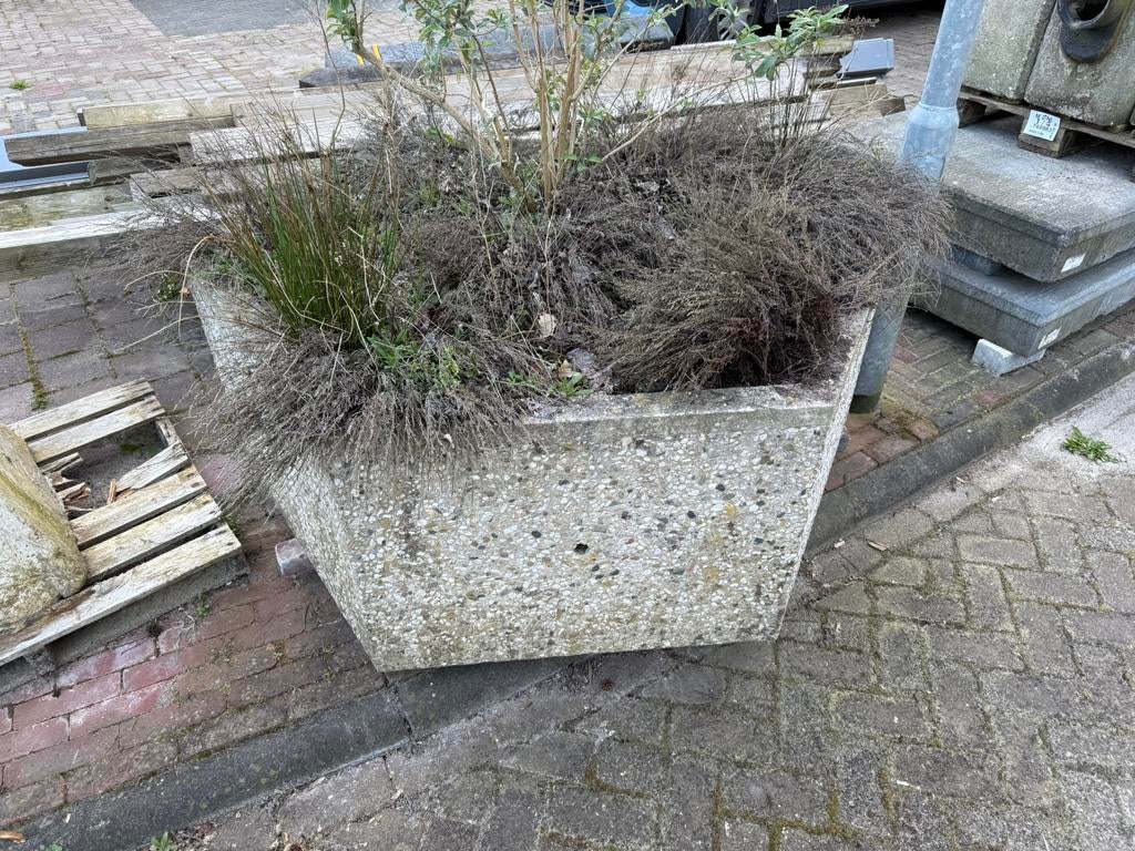 Stenenbloem bak, Ophalen, Steen, Minder dan 30 cm, Rond