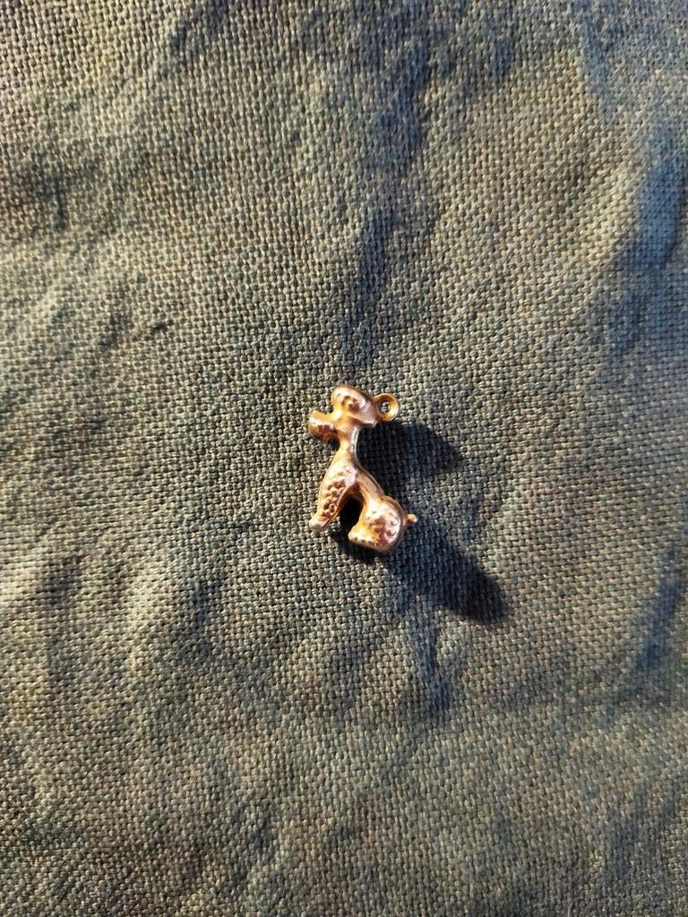 Zilveren bedeltje, poedel. Zestig jaar oud., Sieraden, Tassen en Uiterlijk, Ophalen of Verzenden, Zo goed als nieuw, Zilver, Overige merken