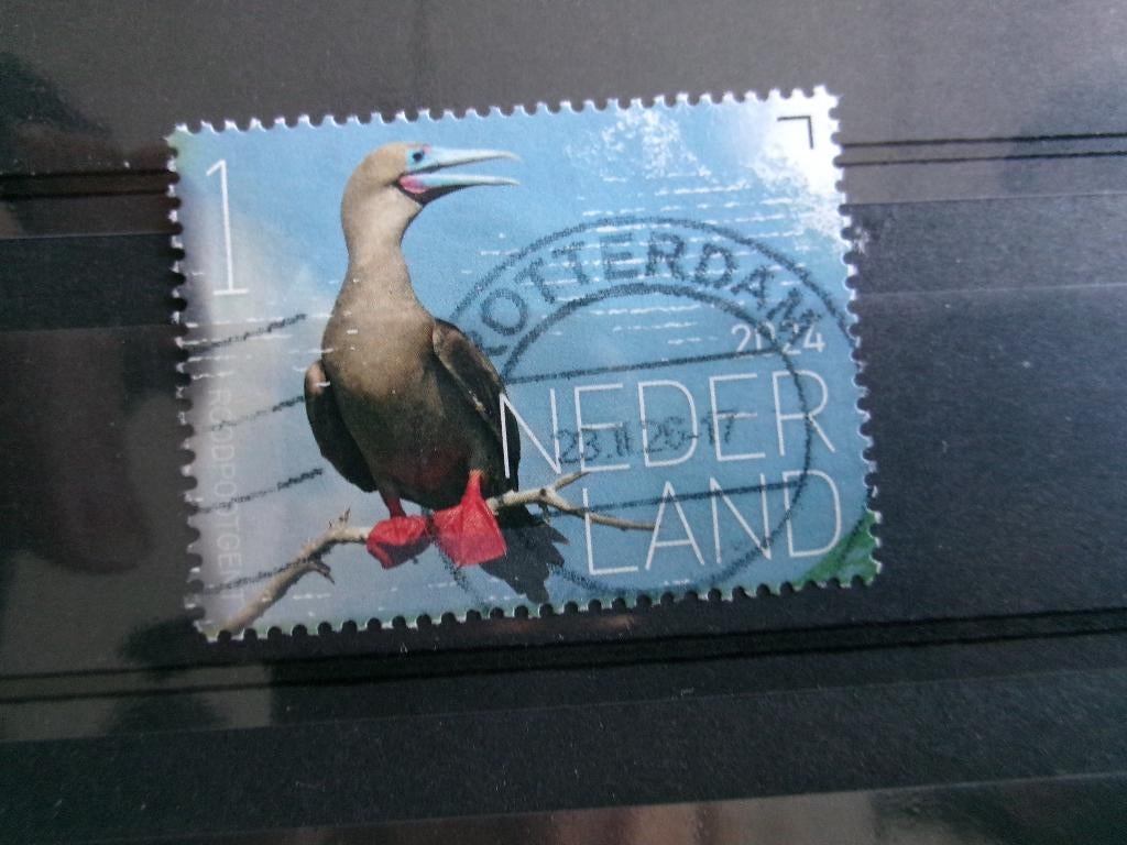 2024 - beleef de natuur roodpootgent (741b), Postzegels en Munten, Postzegels | Nederland, Verzenden, Gestempeld