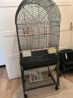 Papegaaien kooi kort gebruikt, Dieren en Toebehoren, Vogels | Hokken en Kooien, Ophalen of Verzenden, Zo goed als nieuw, Metaal