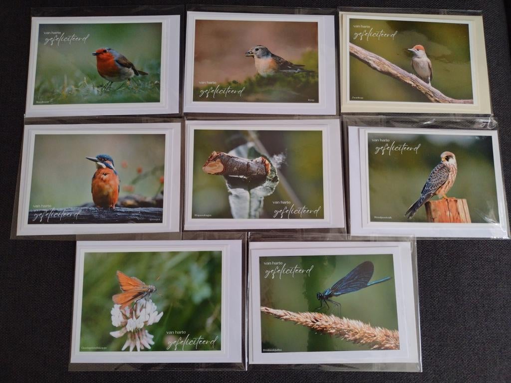Pakket van 18 st dubbele foto kaarten met envelop (handmade), Nieuw, Ophalen of Verzenden, Overige thema's, Nvt