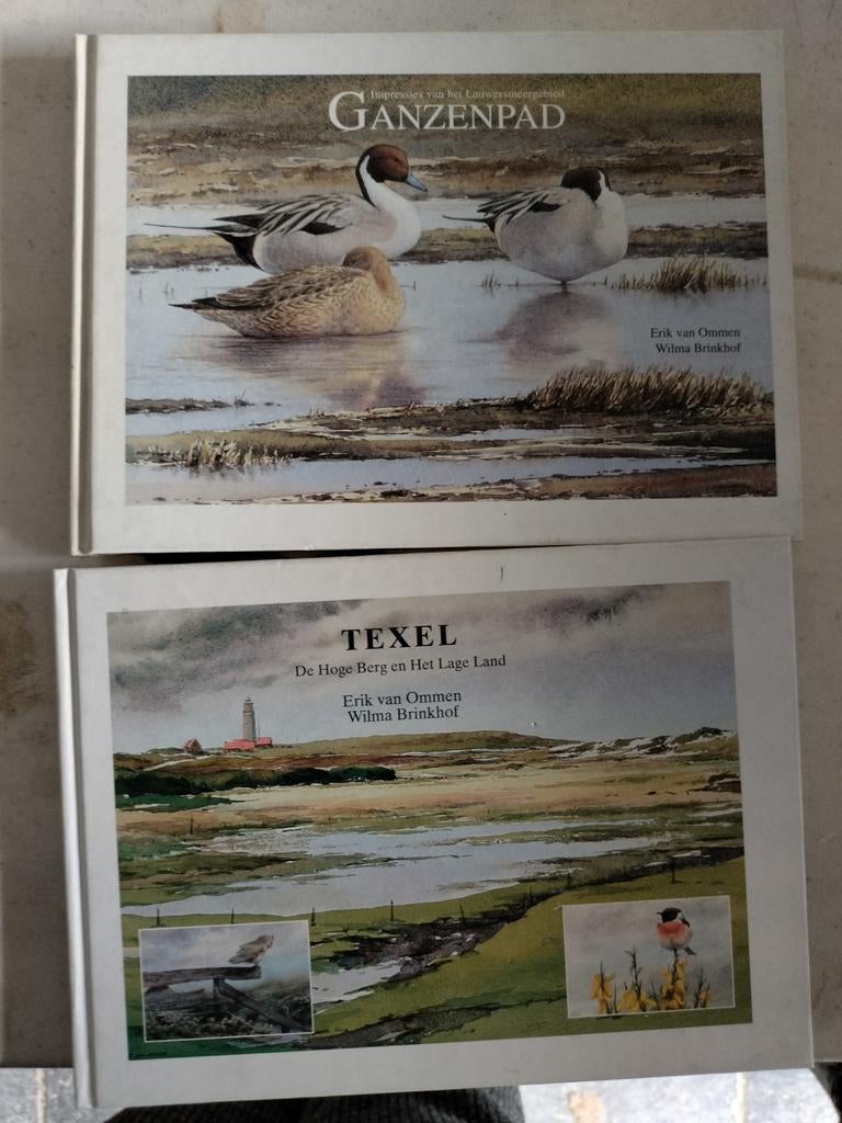 Ganzenpad en Texel boeken van Erik van Ommen, Ophalen of Verzenden