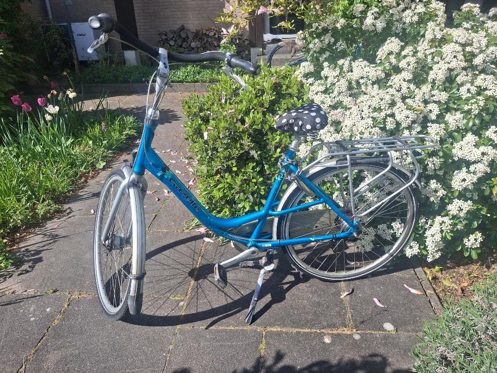 Gazelle Bloom Moederfiets, Ophalen, Versnellingen, 0 zitjes, Gazelle