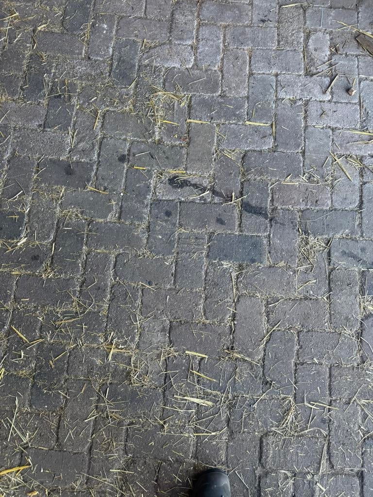 700 m2 BKK klinkers, Tuin en Terras, Tegels en Klinkers, Ophalen, Gebruikt, Klinkers, 10 m² of meer