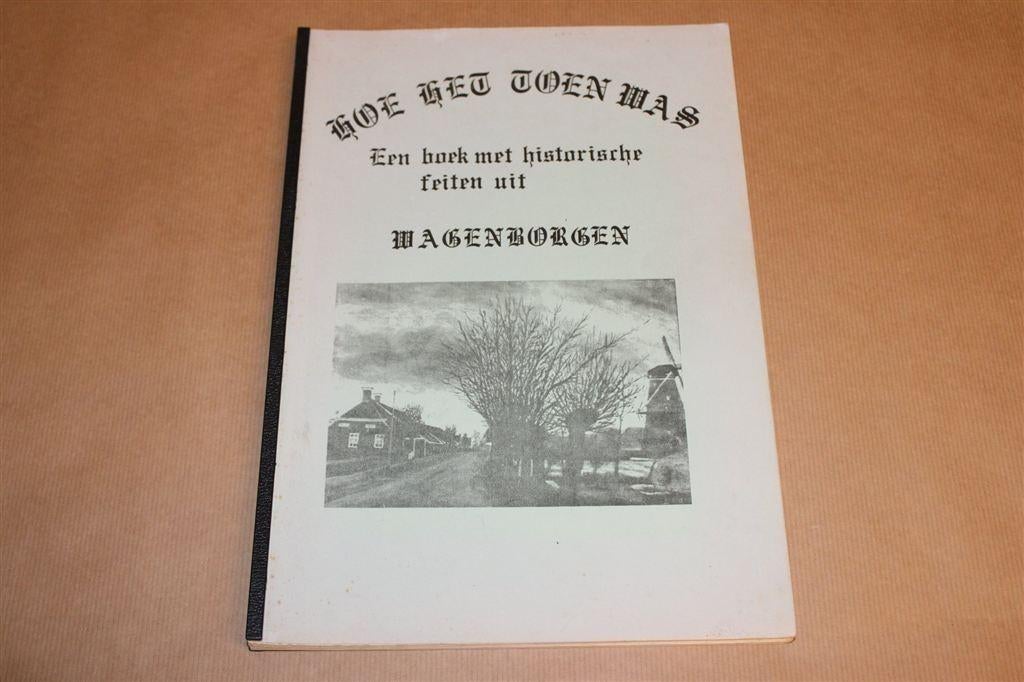 Hoe het Toen Was — Historische Feiten Wagenborgen [Zeldzaam], Boeken, Geschiedenis | Stad en Regio, Ophalen of Verzenden, Gelezen