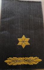 Setje Rangen Majoor GVT KL, Verzenden, Landmacht, Nederland, Embleem of Badge