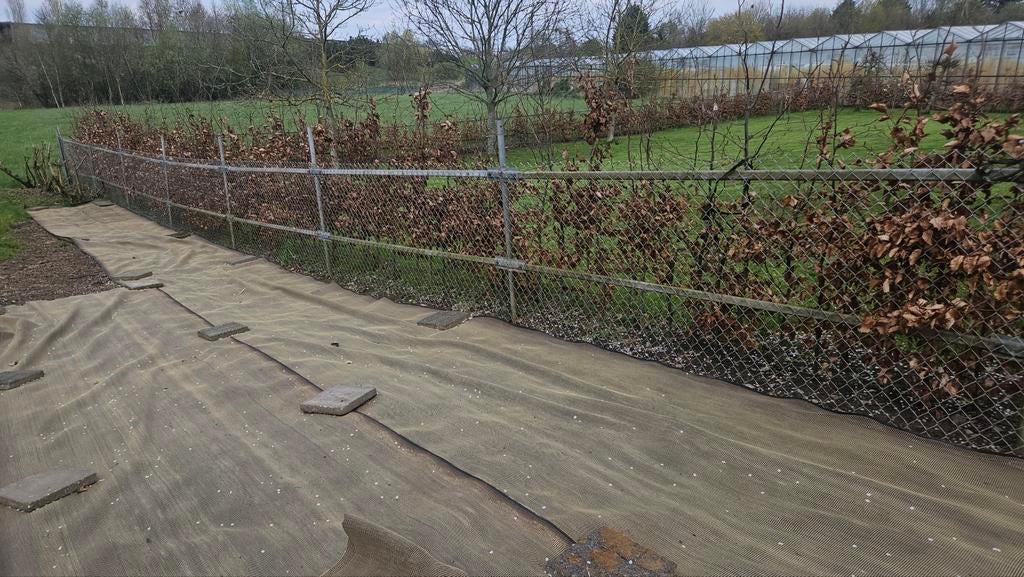 Roestvrij stalen hekwerk 50 meter, Tuin en Terras, Tuinhekken en Hekwerk, Ophalen, IJzer