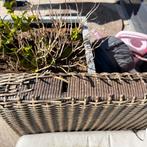 Wicker tuis set, Ophalen of Verzenden, Zo goed als nieuw, Wicker, Stoel