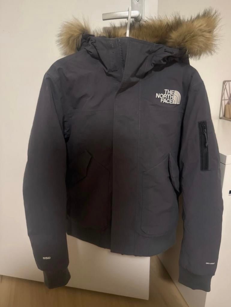 The North face, Kleding | Heren, Jassen | Winter, Ophalen of Verzenden, Zo goed als nieuw