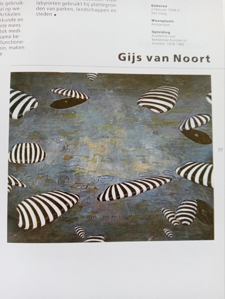 100 Jonge Nederlandse Schilders Jaargids '97/'98, Boeken, Ophalen of Verzenden, Zo goed als nieuw, Overige onderwerpen